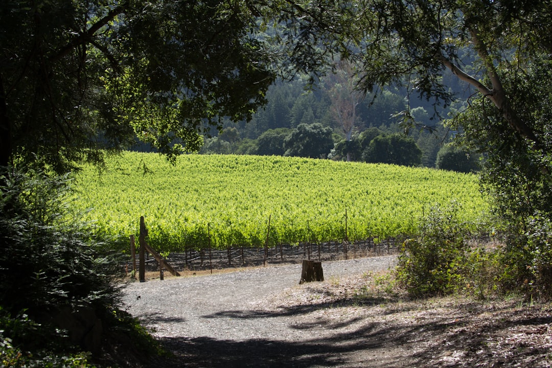 Sonoma Valley : La Magie des Vins de Californie - Sonoma Valley | Secret World Trip Planner