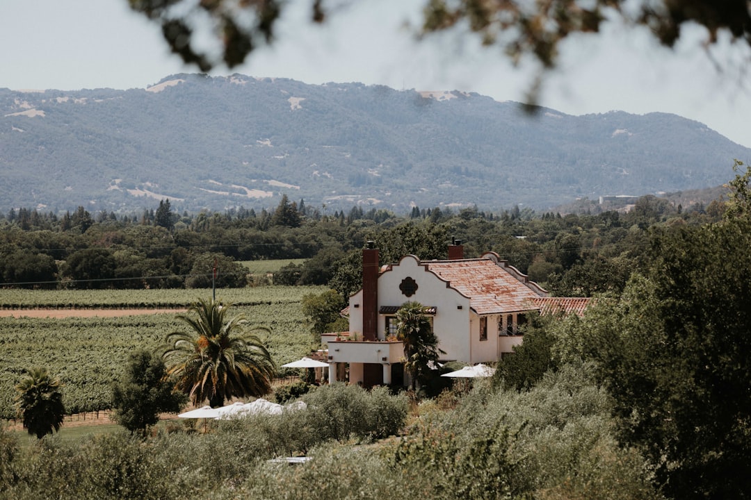 Sonoma Valley: La Magia de los Vinos de California - Sonoma Valley | Secret World Trip Planner