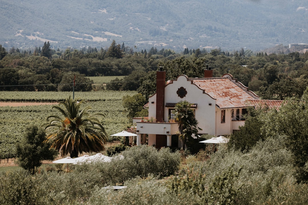 Сонома Вэлли: Магия Калифорнийских Вин - Sonoma Valley | Secret World Trip Planner