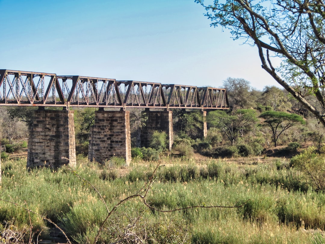 Skukuza: Um Paraíso de Biodiversidade na África do Sul - Skukuza | Secret World Trip Planner