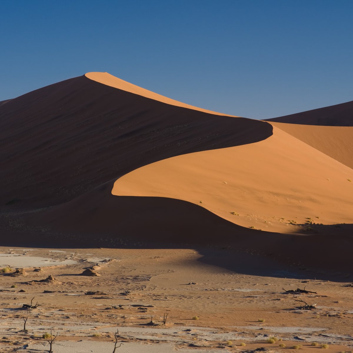Discovering the Namib Desert: Dunes and Silence | Secret World Trip Planner