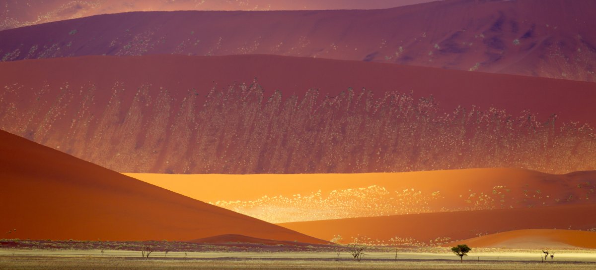 Discovering the Namib Desert: Dunes and Silence | Secret World Trip Planner