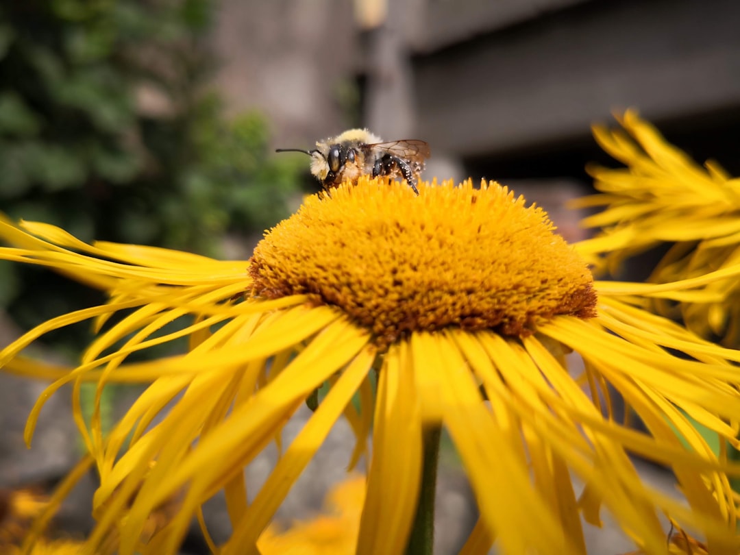 Secret World Review 2026 in Krefeld: A Must for Travelers - Krefeld | Secret World Trip Planner
