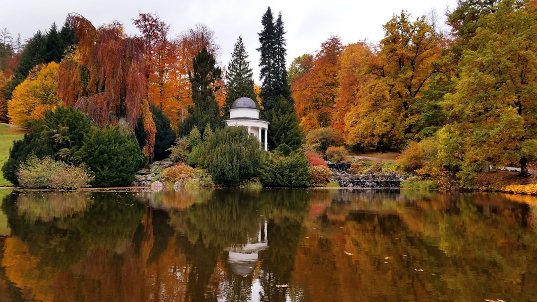 What to See in Kassel 2026: An Unmissable Guide - Kassel | Secret World Trip Planner