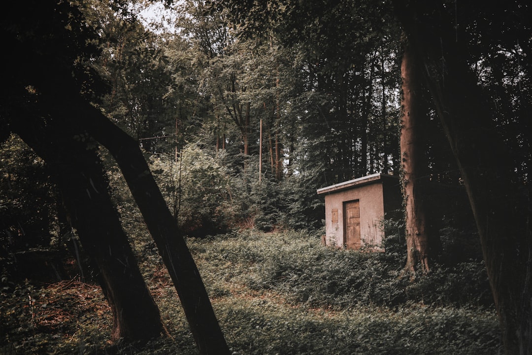 Perfect Itinerary Leverkusen with AI: Discover the City 2026 - Leverkusen | Secret World Trip Planner