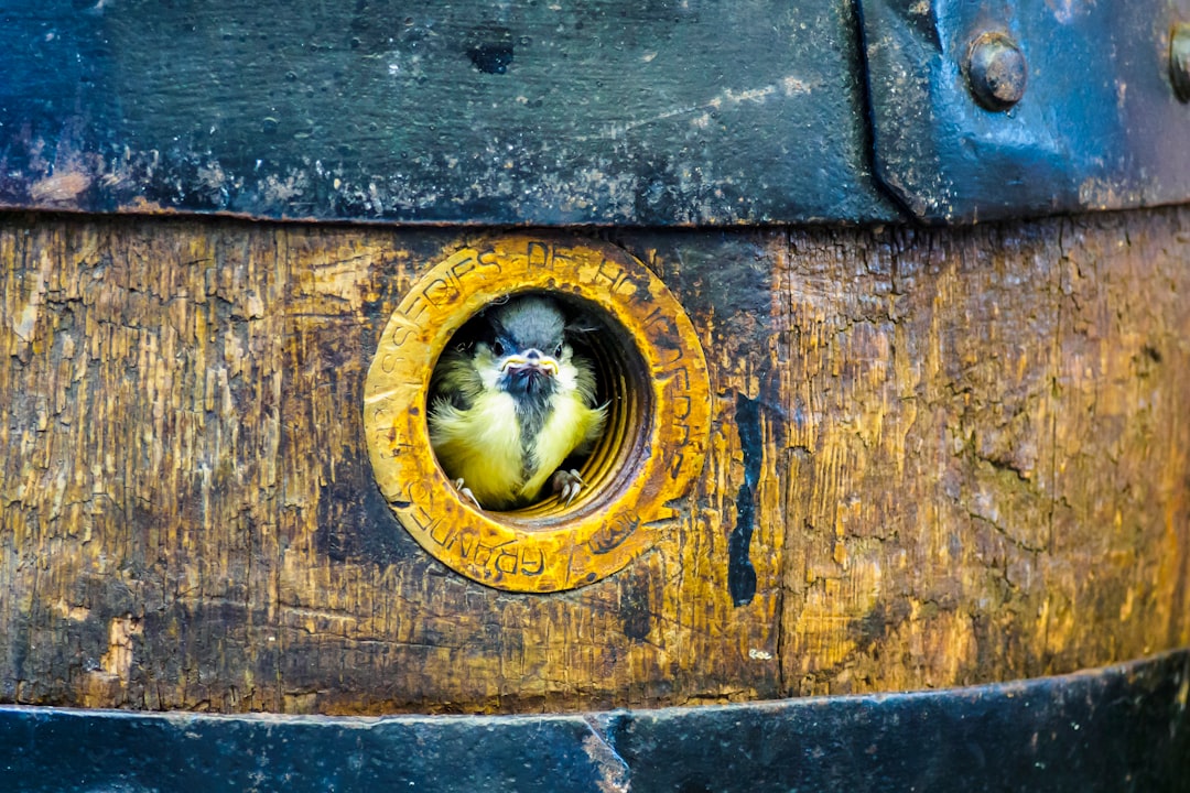 What to See in Solingen 2026: An Unmissable Guide - Solingen | Secret World Trip Planner