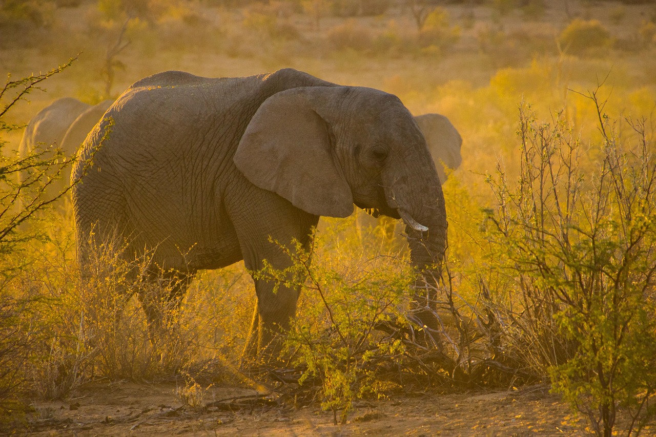 Itinerario Savannah 2026 con AI: La Guida Perfetta - Savannah | Secret World Trip Planner
