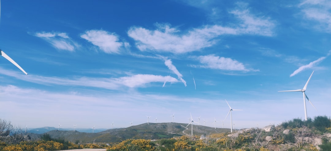 Secret World recensione 2026 a Viana do Castelo: la scelta migliore - Viana do Castelo | Secret World Trip Planner