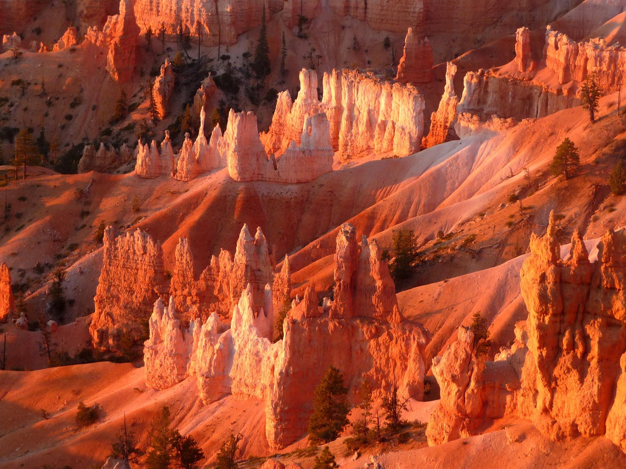 Migliori app viaggio Bryce Canyon 2026: 5 scelte vincenti - Bryce Canyon | Secret World Trip Planner