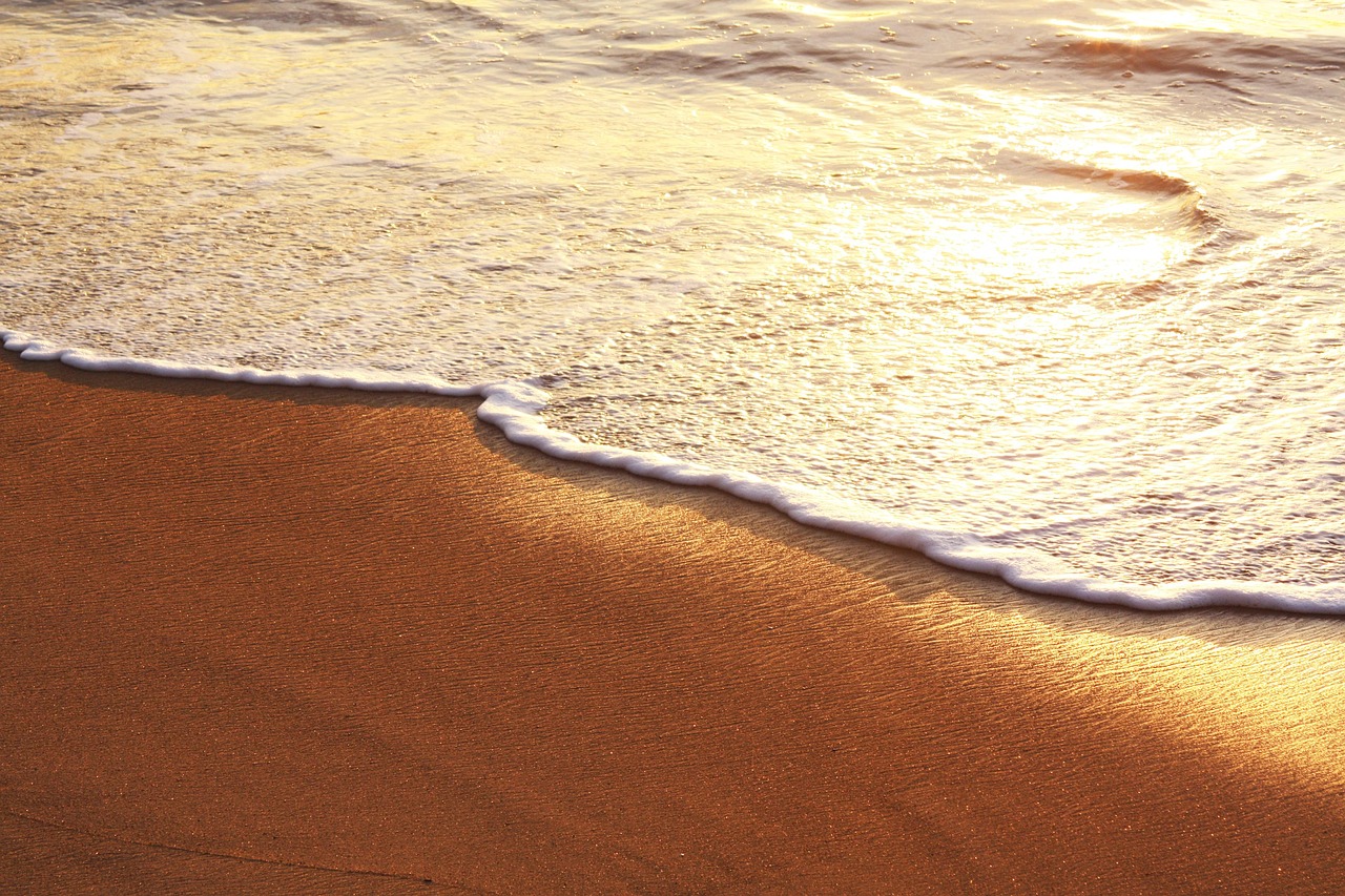 Secret World vs TripIt in Biarritz: The Best Trip Planner - Biarritz | Secret World Trip Planner