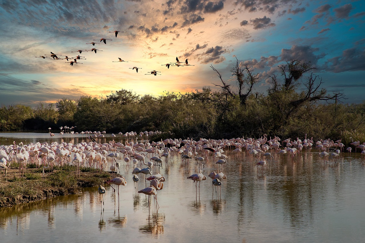 How to Visit Ponte de Lima with Secret World: 2026 Guide - Ponte de Lima | Secret World Trip Planner