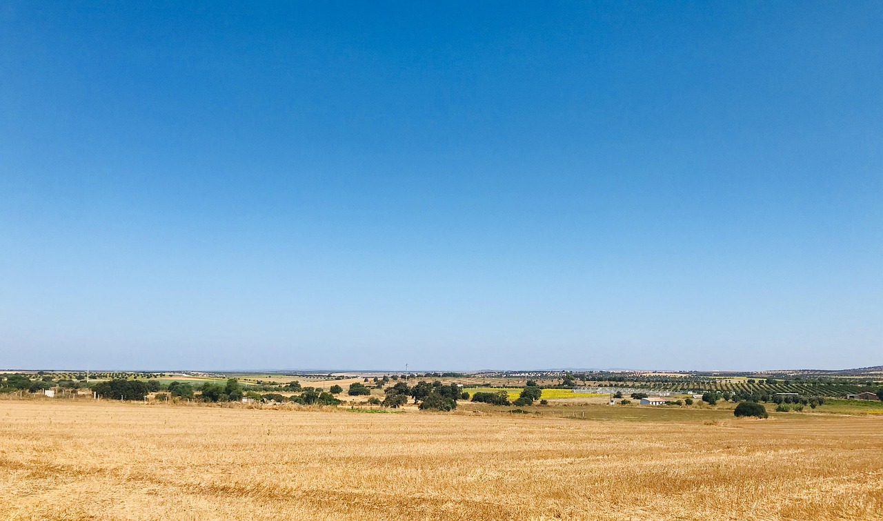 Perfect Beja Itinerary with AI: Discover the City in 2026 - Beja | Secret World Trip Planner