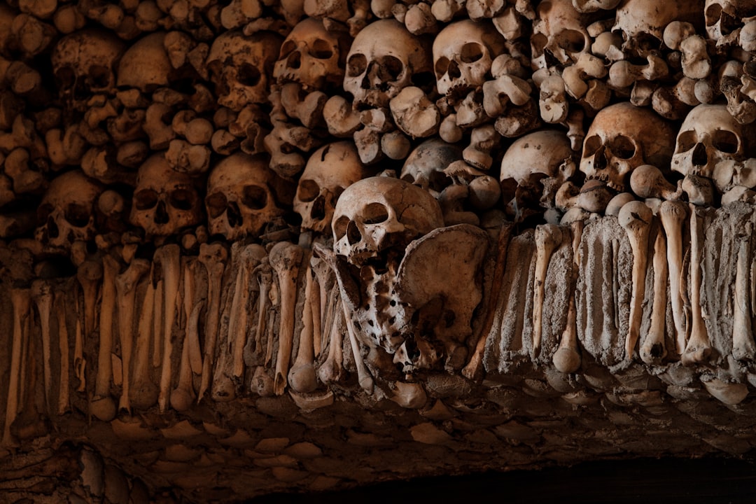 Avaliação do app Secret World Évora 2026: sua guia perfeita - Évora | Secret World Trip Planner