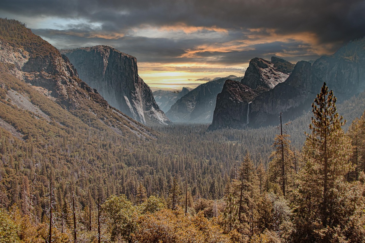 Best Yosemite Trip Planner 2026: Practical Guide to the Park - Yosemite | Secret World Trip Planner