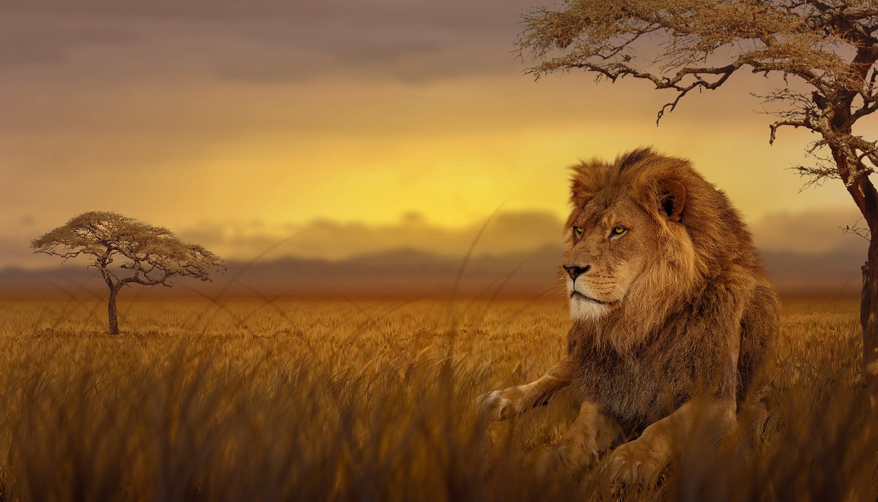 Savannah 2026 Itinerary with AI: The Perfect Guide - Savannah | Secret World Trip Planner