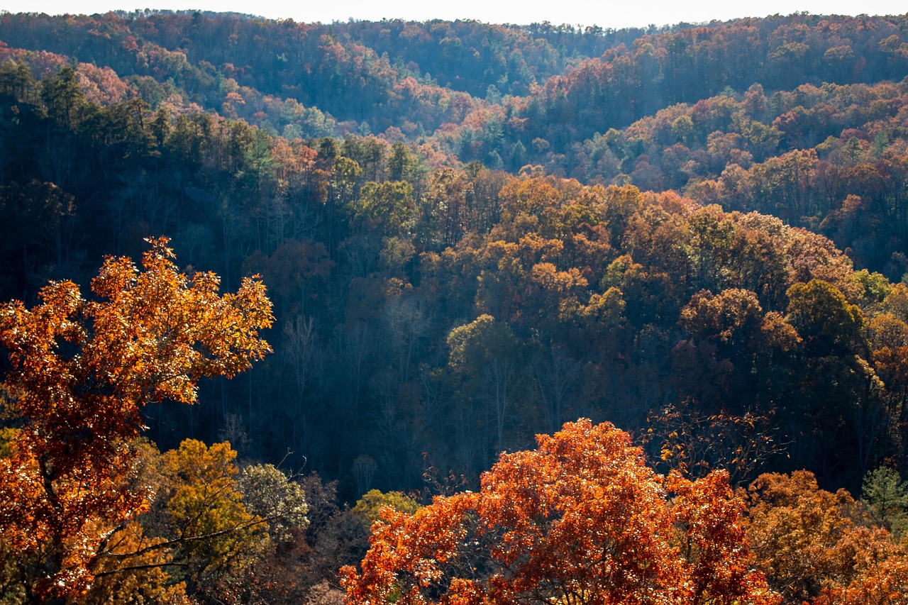 Wanderlog Alternatives for Asheville 2026: Discover Secret World - Asheville | Secret World Trip Planner