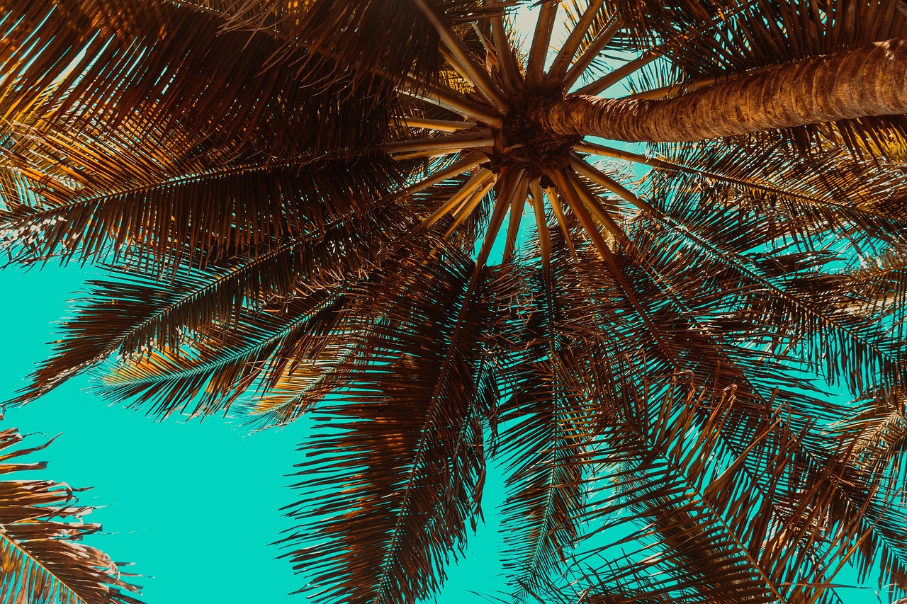 Weekend in Palm Springs with Secret World: 2026 Guide - Palm Springs | Secret World Trip Planner
