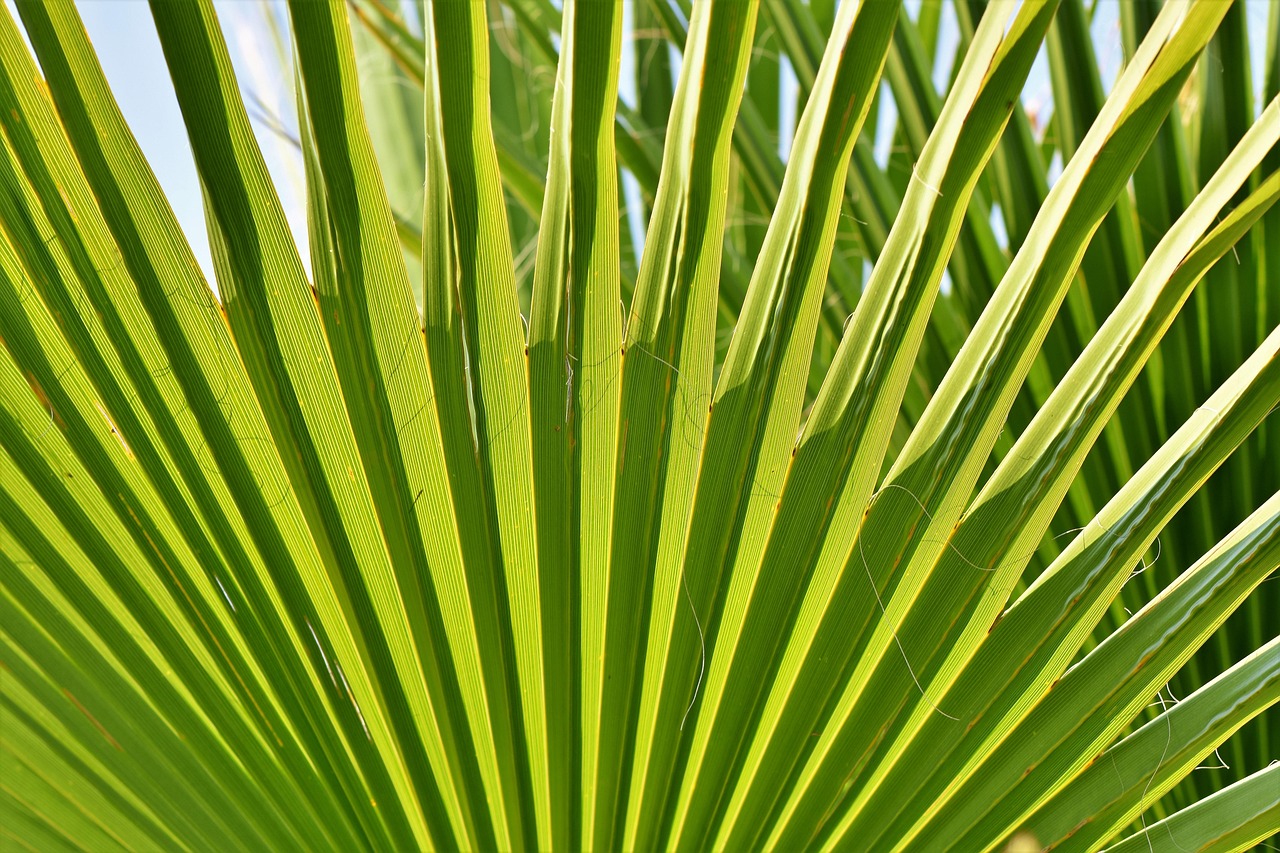Weekend in Palm Springs with Secret World: 2026 Guide - Palm Springs | Secret World Trip Planner