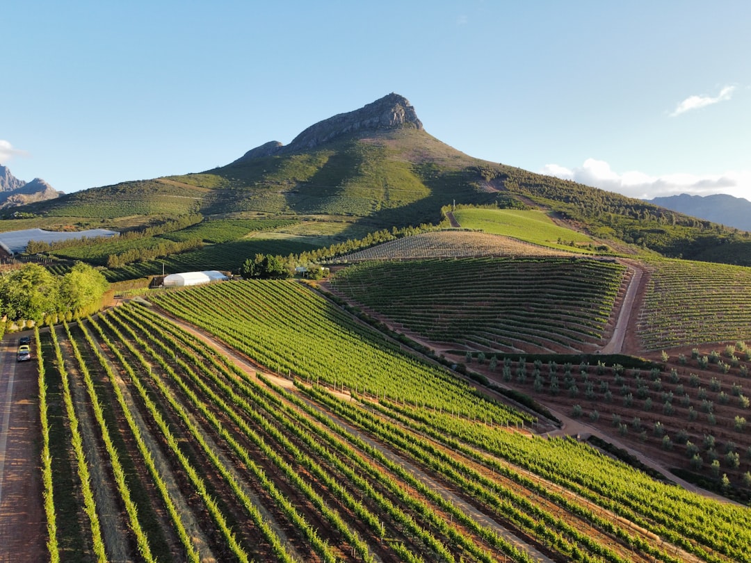 Itinerario perfetto Stellenbosch con AI nel 2026 - Stellenbosch | Secret World Trip Planner