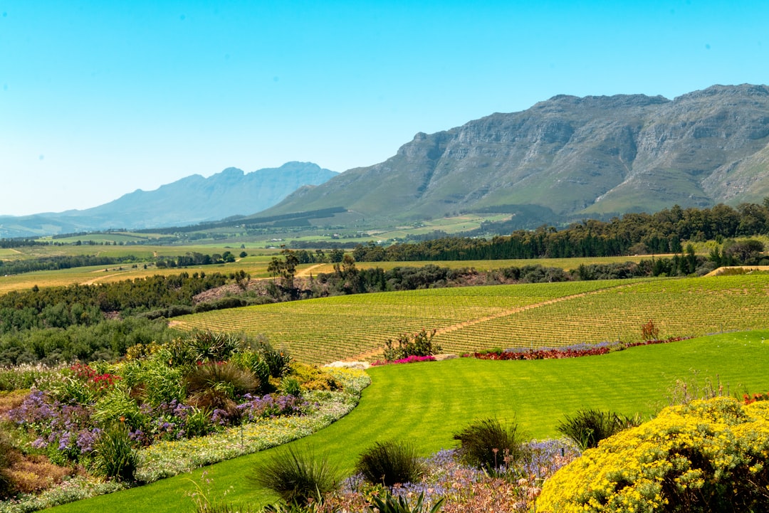 Perfect Stellenbosch Itinerary with AI in 2026 - Stellenbosch | Secret World Trip Planner