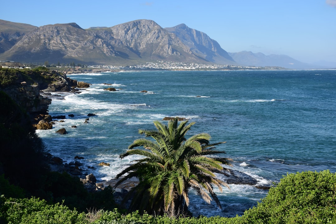 Weekend a Hermanus con Secret World: La tua guida perfetta - Hermanus | Secret World Trip Planner