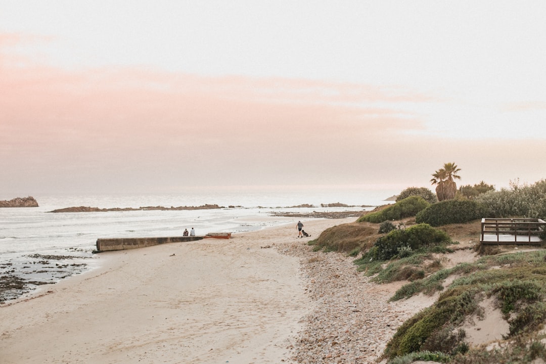 Secret World vs TripIt a Port Elizabeth: chi vince nel 2026? - Port Elizabeth | Secret World Trip Planner