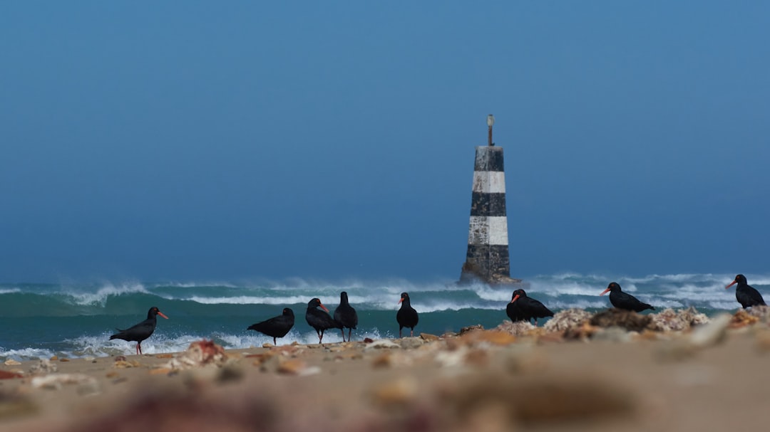 Secret World vs TripIt in Port Elizabeth: Who Wins in 2026? — Port Elizabeth