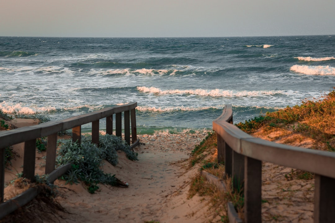 Secret World vs TripIt in Port Elizabeth: Who Wins in 2026? - Port Elizabeth | Secret World Trip Planner