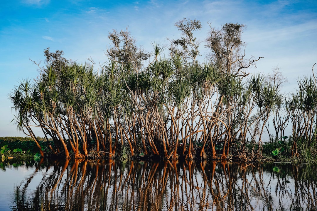 Itinerario perfetto Kakadu con AI: guida 2026 — Kakadu