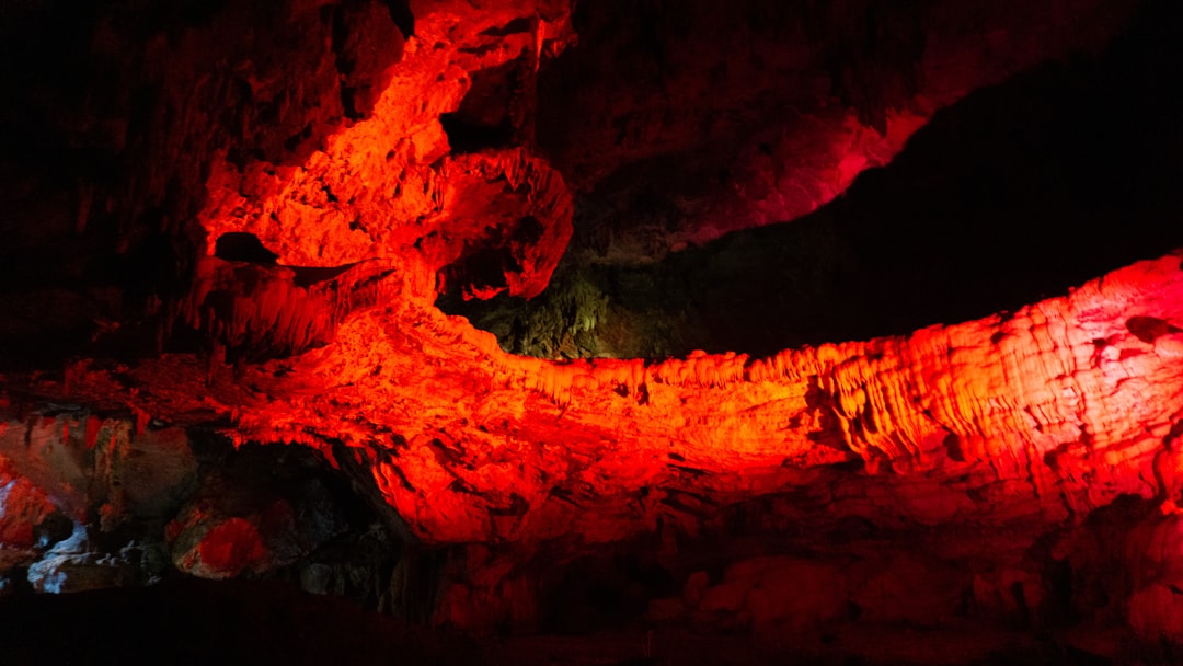 Le Magiche Grotte di Waitomo: Un Gioco di Luce e Ombre - 39 Waitomo Village Road | Secret World Trip Planner