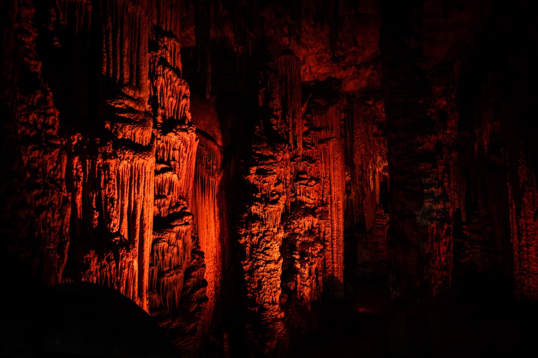 Le Magiche Grotte di Waitomo: Un Gioco di Luce e Ombre - 39 Waitomo Village Road | Secret World Trip Planner