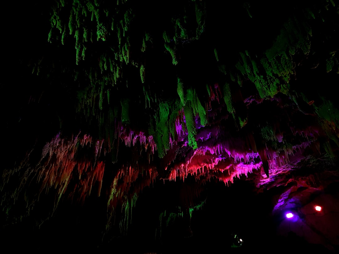 Las Mágicas Grutas de Waitomo: Luz y Sombras - 39 Waitomo Village Road | Secret World Trip Planner