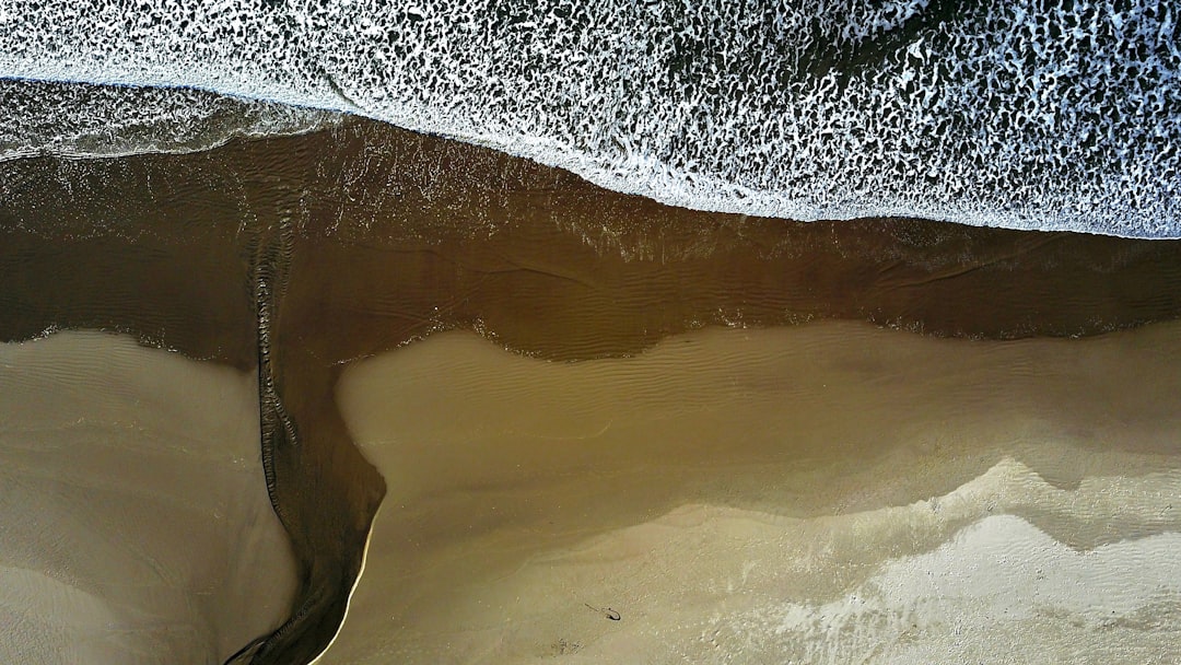 Explore Postojna Caves: A Unique Underground Journey - Jamska cesta 30 | Secret World Trip Planner