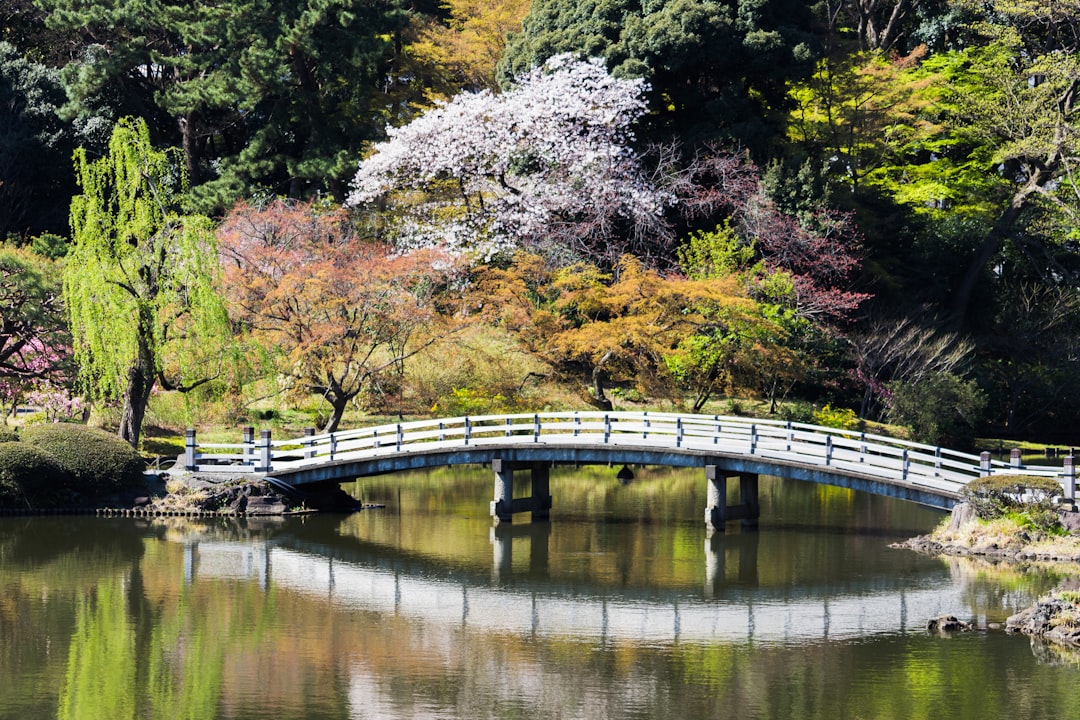 Explorando o Jardim Nacional de Shinjuku Gyoen - Shinjuku City | Secret World Trip Planner