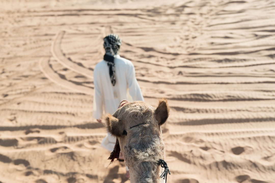 2026年のドバイ旅行：おすすめのアドバイスとルート - Dubai | Secret World Trip Planner