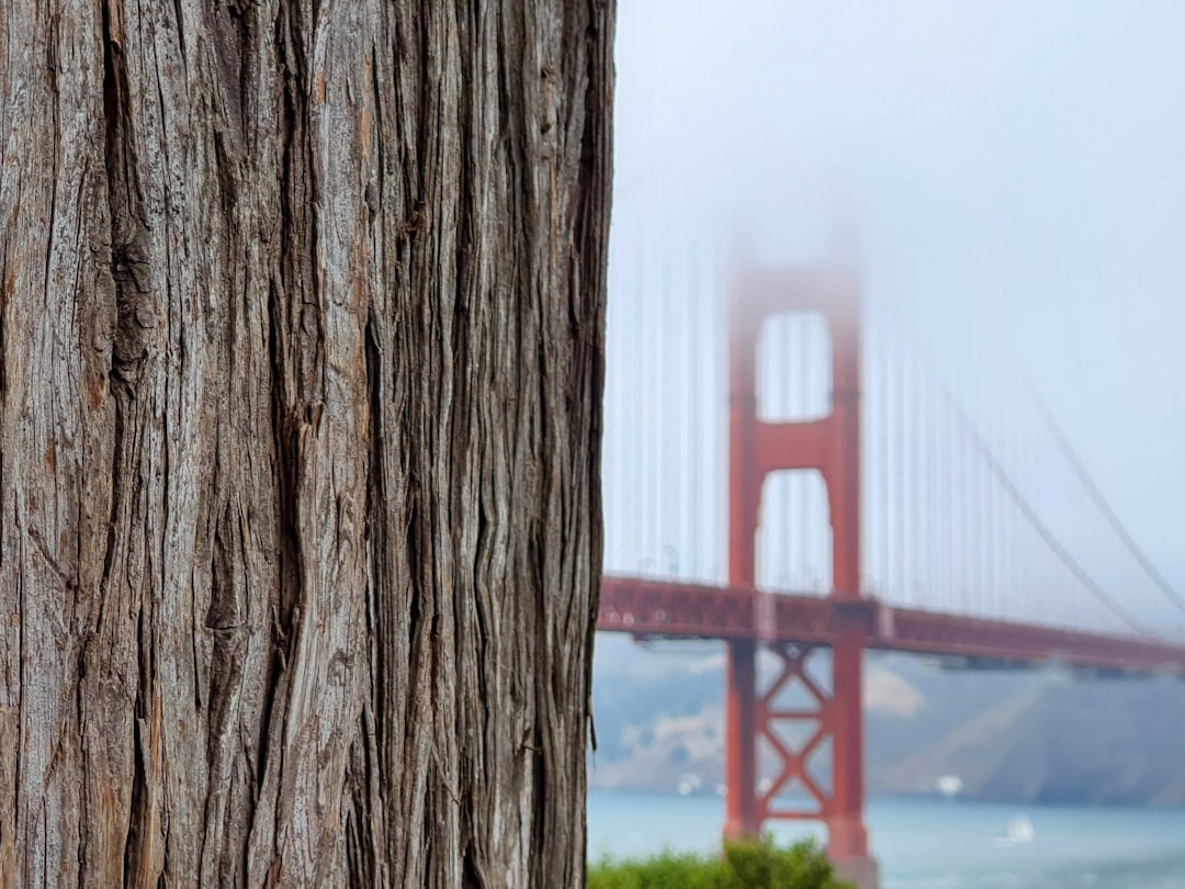 Le Charme du Golden Gate Bridge : Un Pont Iconique - San Francisco | Secret World Trip Planner