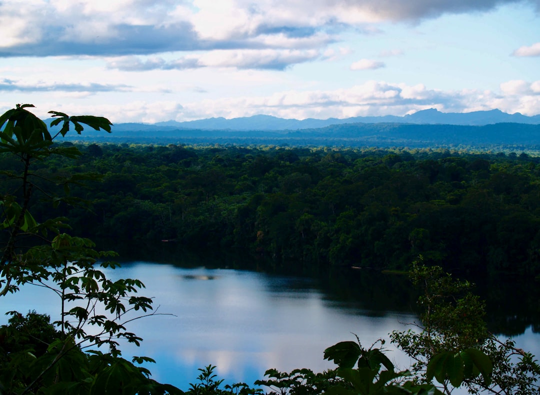 Esplorando la Magia della Foresta Amazzonica - Codajás - Amazonas | Secret World Trip Planner