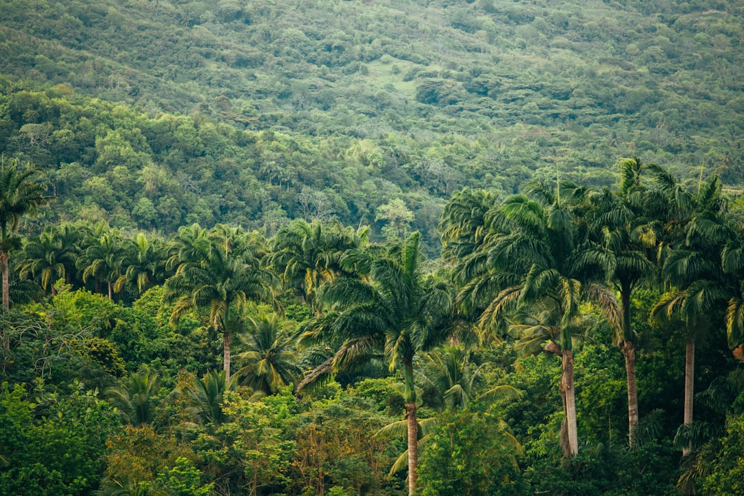 Исследуя магию Амазонской леса - Codajás - Amazonas | Secret World Trip Planner