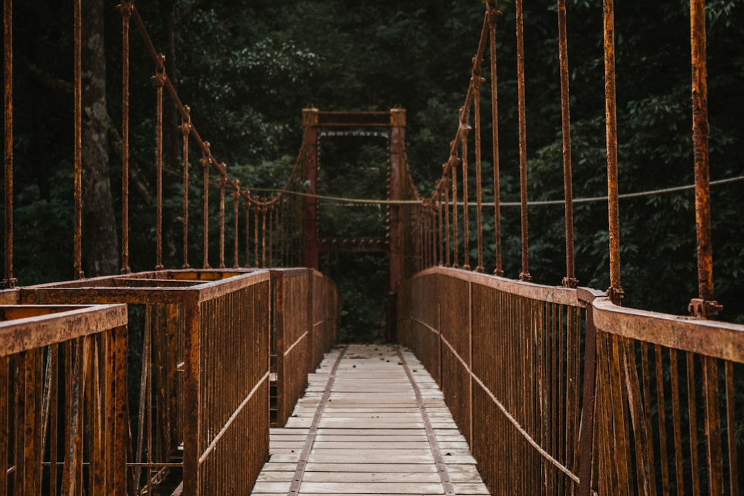 Scoprire il Ponte del Diavolo a Sedona: Un'Avventura Naturale - Devil's Bridge Trail | Secret World Trip Planner