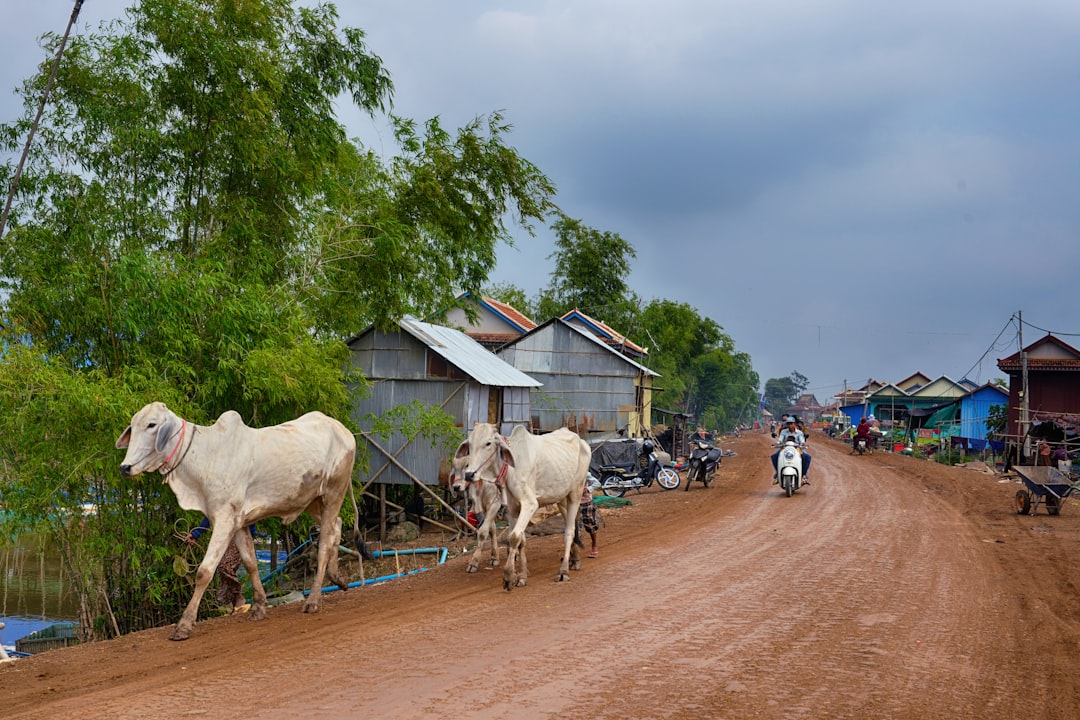 Scopri Landmap: un'esperienza unica in Cambogia | Secret World Trip Planner