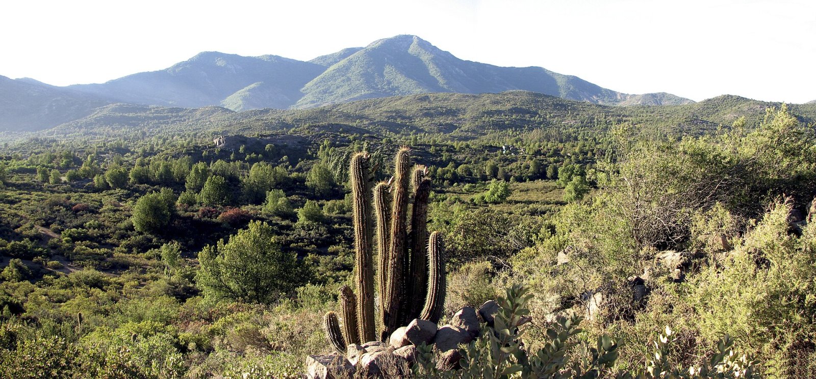 Cerro El Roble: Un Paradiso Naturale in Cile | Secret World Trip Planner
