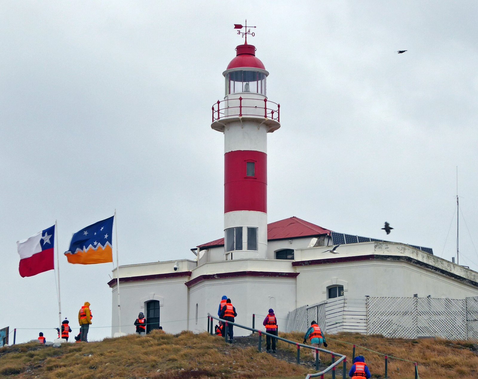 Faro Isla Magdalena: um tesouro do sul do Chile | Secret World Trip Planner