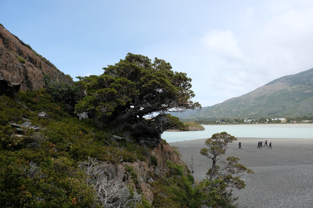 Mirador Lago Grey: Ein atemberaubender Ausblick in Chile | Secret World Trip Planner