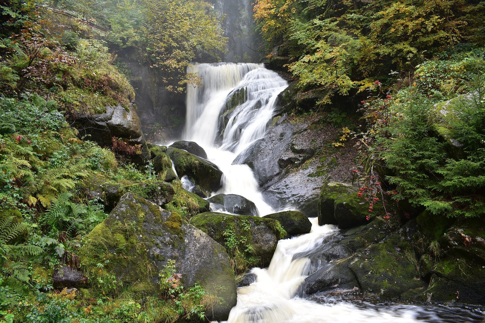 Scopri le spettacolari Triberger Wasserfälle in Germania - Schonach im Schwarzwald | Secret World Trip Planner