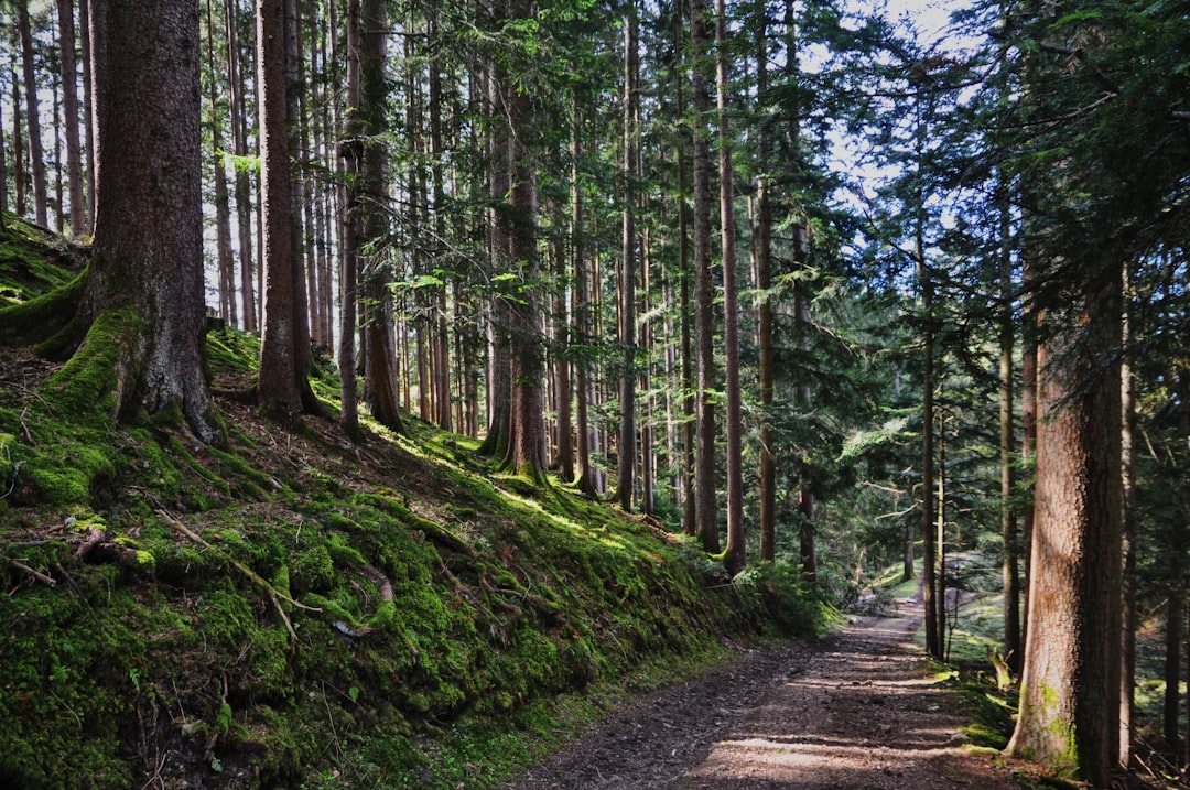 Descubre Tegernsee: una joya de Baviera inmersa en la naturaleza - Tegernsee | Secret World Trip Planner