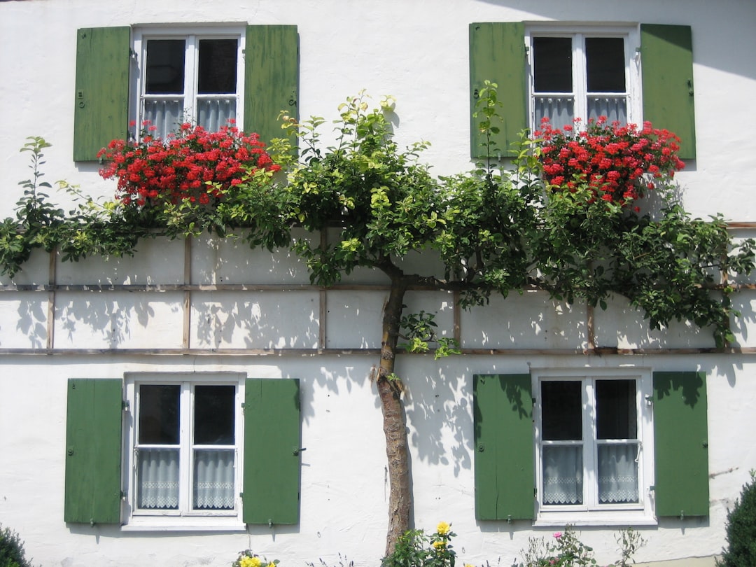 Découvrez Murnau am Staffelsee : un bijou de Bavière - Murnau am Staffelsee | Secret World Trip Planner