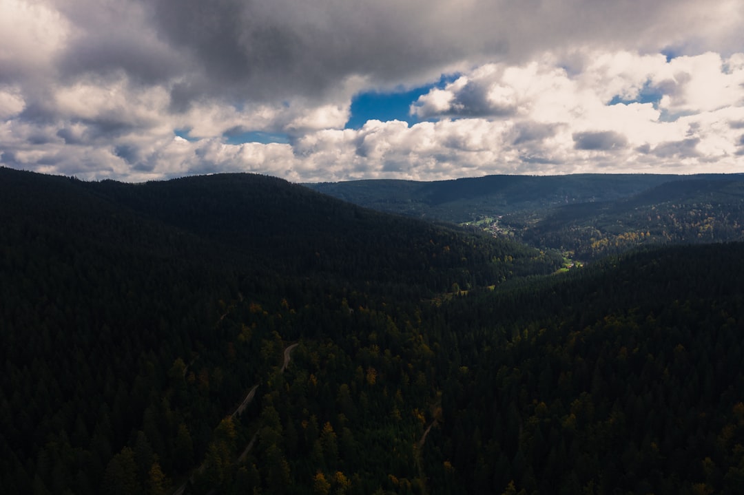 Discover the Black Forest National Park: a Natural Gem in Germany - Freudenstadt | Secret World Trip Planner