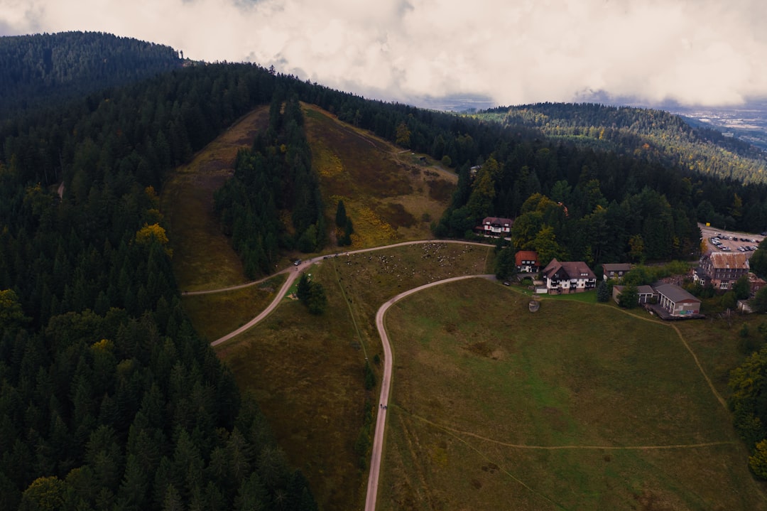 Découvrez le Parc National de la Forêt Noire : un joyau naturel en Allemagne - Freudenstadt | Secret World Trip Planner