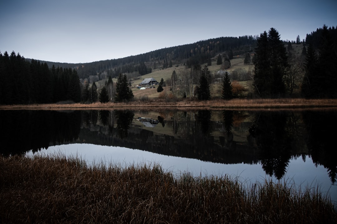Descubre Schluchsee: la joya de la Selva Negra - Schluchsee | Secret World Trip Planner