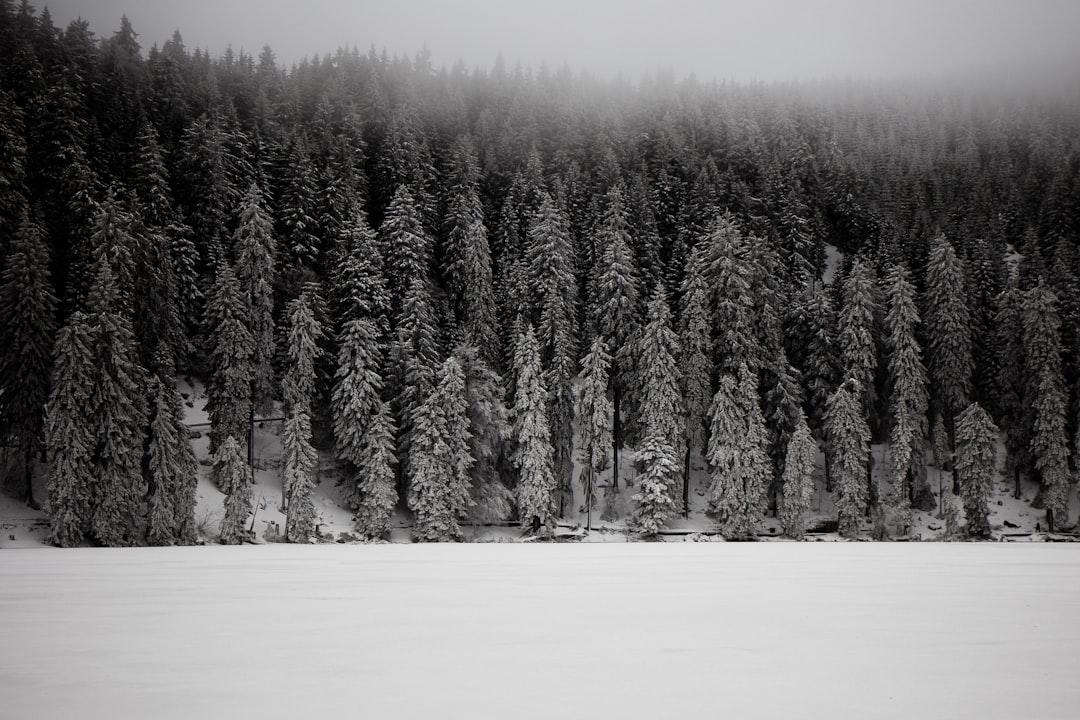 Mummelsee: Ein Naturparadies im Herzen des Schwarzwalds - Seebach | Secret World Trip Planner